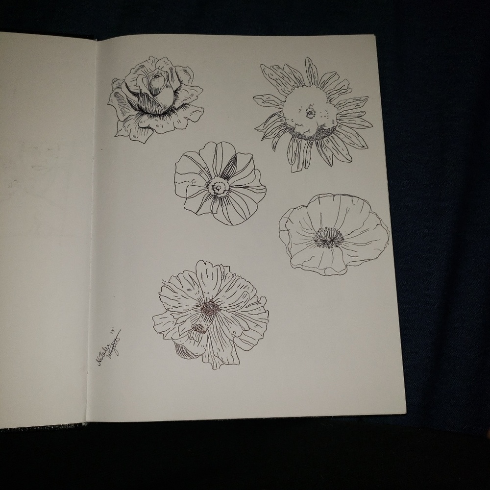 Nature illustrations